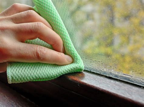 Achtung wenn sie den schimmel selbst entfernen, sollten sie entsprechende sicherheitsmaßnahmen einhalten. Schimmel am Fenster entfernen und vorbeugen - Die besten ...