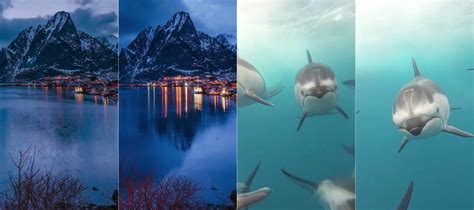 Amazing the wallpapers app with many and the best wallpapers with retina hd hdr quality for all iphone versions. The best wallpaper apps for iPhone