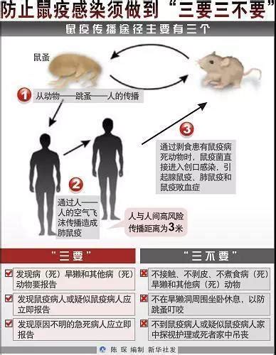 北京确诊2名鼠疫患者！我国还有哪些地方是鼠疫疫源地？ 知乎