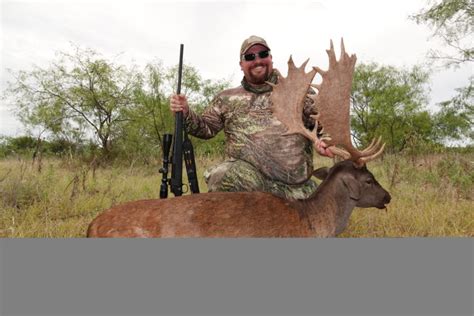 Exotic Fallow Deer Hunts In Texas Superior Range Of Exotics And Fallow
