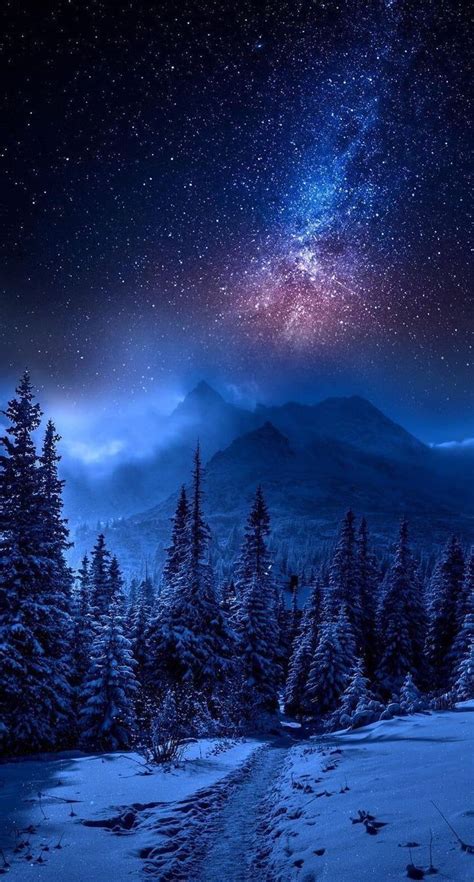 Forest Mountain Landscape Covered With Snow 2k Wallpapers Star Filled