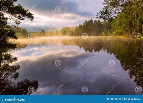 Beautiful Landscape Scene With Pine Forest Reflected In Calm Lake Hazy