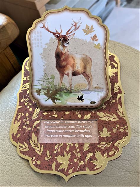 227 Hunkydory Woodland Wildlife Pop Up Card Red Deer Stag