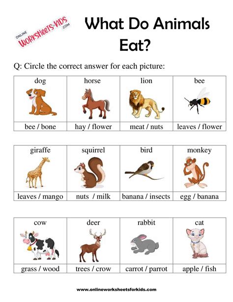 What Do Animals Eat Worksheet For Grade 1