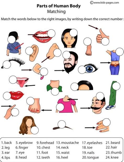 Now listen, read and repeat. I Learned In Spanish | English activities, Learn english ...