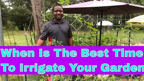 When Is The Best Time To Water Your Garden Irrigation Youtube