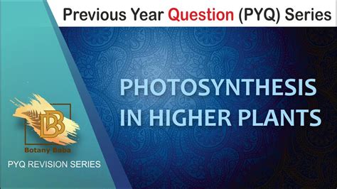 Photosynthesis In Higher Plants Class 11 Biology Pyq Series