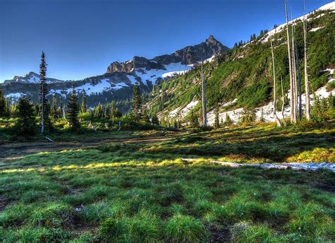 Mountain Meadow Photograph By Peter Mooyman Fine Art America