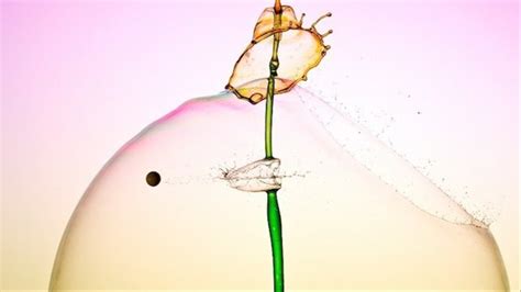 High Speed Photographs Capture Bullets Bursting Colorful Water Plumes