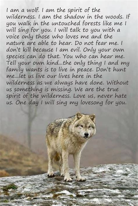 Spirit Of The Wilderness Wolf Spirit Animals Wolf