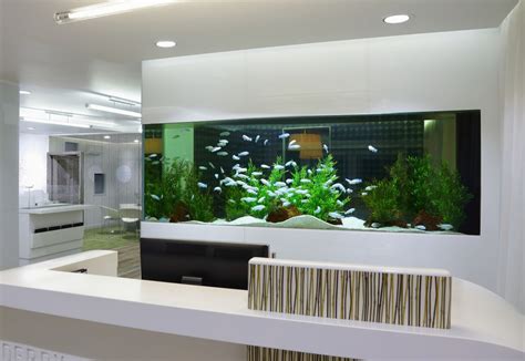 Built In Fish Tank Calming And Helps A Stress Free Environment Wall