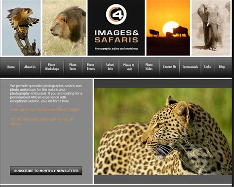 Wildlife Photography Websites 10 Most Incredible Ones For Your