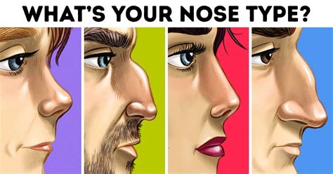 Different Types Of Nose Shapes