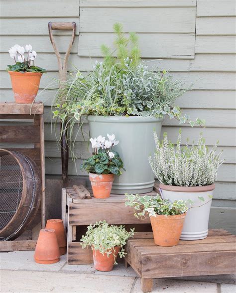 Beautiful Container Garden Ideas For Winter This Old House