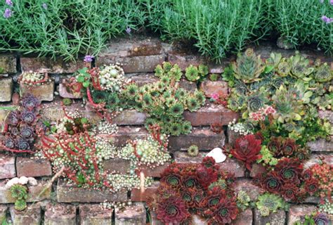 Da die antike mauer in der regel nicht als grundstücksbegrenzung gebaut wird, sondern an anderer stelle im garten steht, ist eine genehmigung meist nicht erforderlich. Erwin Geiger - Im Garten