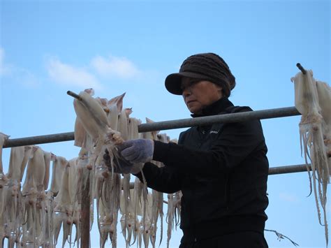 Drying Squid This Woman Is Spreading Out The Tentacles Am Flickr