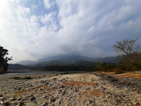 The Raimona National Park The Th National Park Of Assam