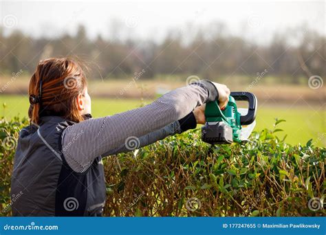 Gardening Woman With Hedge Trimmer Stock Image Image Of Background Happiness