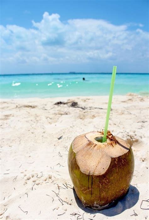 Holiday In Mauritius Relax And Drink Coconut Water Tropical Island
