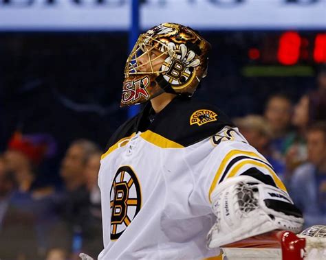 New Wasp Species Named After Boston Bruins Goalie Tuukka Rask Metro Us