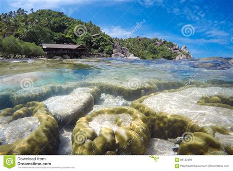 Underwater And Surface View With Colorful Coral Reef With