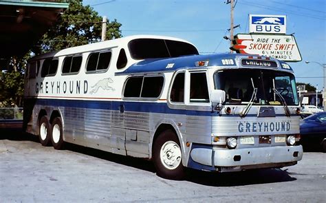 The Greyhound Group Mighty Scenicruiser Pd 4501