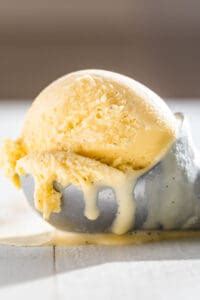 Best Homemade Vanilla Ice Cream Recipe Get Inspired Everyday
