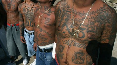 U S Tries To Extradite Ms 13 Member Wanted For Murder