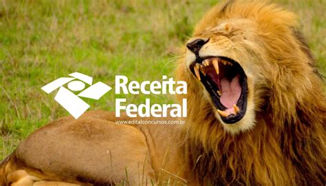 30 de junho de 2020; Calendário restituição Imposto de Renda (IR) 2020 ...