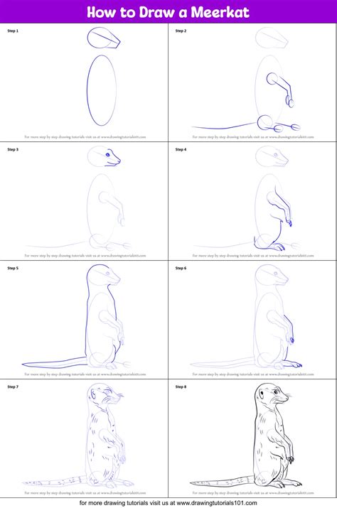 How To Draw A Meerkat Printable Step By Step Drawing Sheet