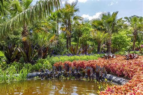Jardín Botánico de Nueva York honra al paisajista brasileño Burle Marx