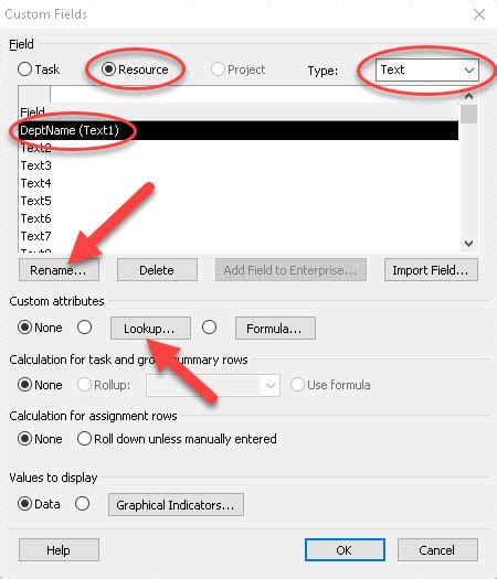 How To Create Custom Fields In Microsoft Project Skillforge