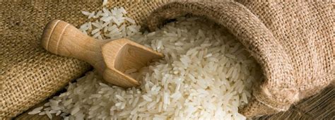 Seasonal Ban On Rice Imports To Be Lifted On Sunday Financial Tribune