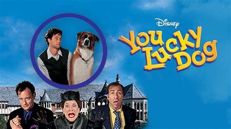 It should also go without saying that disney+ will and disney+ is also the new uk home for disney channel, disneyxd and disney junior programming. 9 forgotten Disney Channel Original Movies you can watch ...