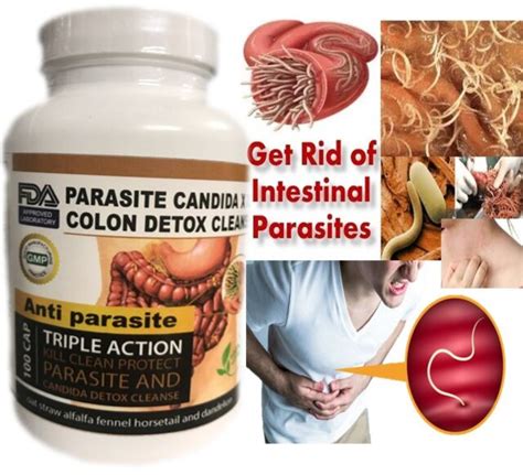 Parasite Detox Body Cleanse Complex Anti Parasite Kill And Cleanse 100