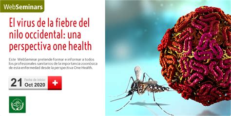 El virus más letal del mundo es el marburg, similar al virus del ébola, está considerado uno de los agentes patógenos más agresivos para los seres humanos. El virus de la fiebre del nilo occidental: una perspectiva ...