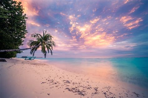 Tropical Beach Sunset Hd Desktop Wallpaper Widescreen High Resolution My Xxx Hot Girl