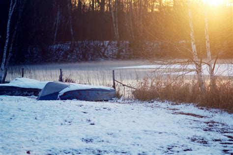 Gambar Salju Musim Dingin Sinar Matahari Pagi Embun Beku Es