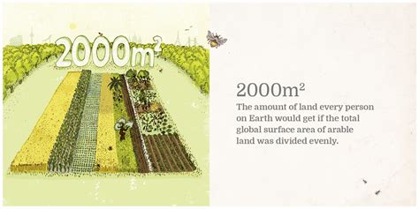 40 meters to feet = 131.2336 feet. What can you grow on 2000 square metres? - Nourish Scotland