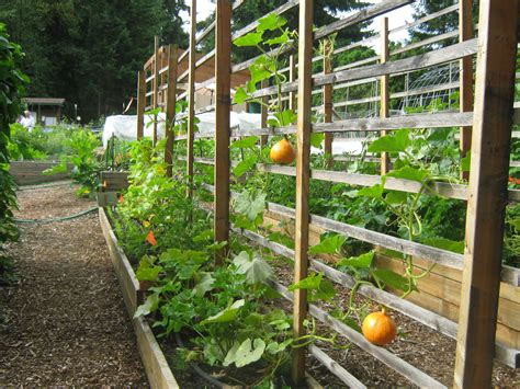 10 Vegetable Garden Trellis Ideas Backyard Garden Design Verticle