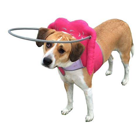 Muffins Halo Blind Dog Harness Guide Device Help For Blind Dogs Or