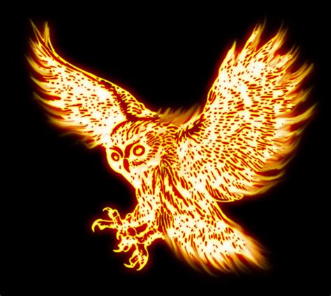 Flaming Owl By Tobilou On Deviantart