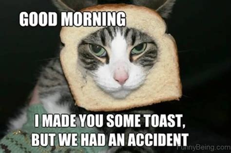 Funny Good Morning Meme 25 Inspirationfeed