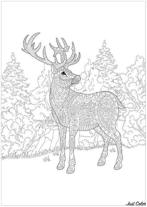 Animal deer christmas coloring page for kid. Christmas deer in a forest - Christmas Adult Coloring Pages