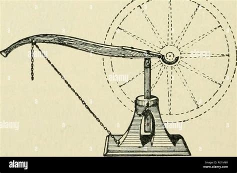 . The encyclopædia of the stable: a complete manual of the horse, its