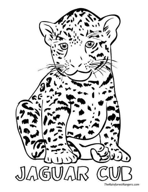 Jaguar Coloring Pages Idea Whitesbelfast