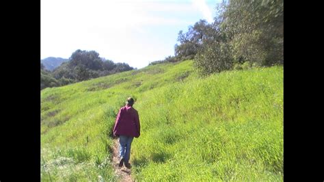 We did not find results for: Day 19 Back Bone Old Topanga Road West Towards Stunt Half ...