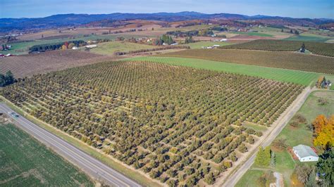 Yamhill, Yamhill County, OR Farms and Ranches for sale Property ID