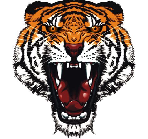 Tiger Head Png Clip Art The Best Png Clipart Tiger Images Tiger Face