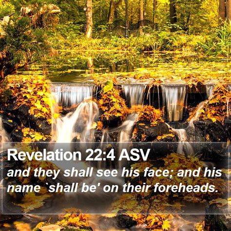 Revelation 224 Asv And They Shall See His Face And His Name Shall